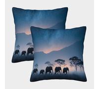kaiyun 2 Pack 3D African Elephant Silhouette Under The Starry Sky Cushion 3D Soft Touch Pillowcase,sofa Chair Home Furnishings 45x45cm