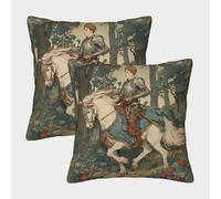 kaiyun 2 Pack 3D Knight of The Pentacles in Tarot Cushion 3D Soft Touch Pillowcase,sofa Chair Home Furnishings 40x40cm