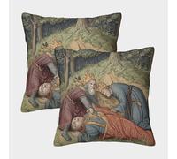 kaiyun 2 Pack 3D Medieval Illustrations Theme Square Cushion Cover Decoration Pillow Cover Suitable for Home Sofa Bedroom Living Room 50x50cm