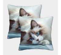 kaiyun 2 Pack 3D Ragdoll Cat Pillow,cushion Pillow 3D Calm Expression Soft Touch Pillow,sofa Chair Home Furnishings 40x40cm
