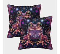 kaiyun 2 Pack 40x40cm Pillow Cases,Cosmic Energy Decorative 3D Printed Frog Cushion Cover,sofa Bed Decorative Cushions
