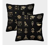 kaiyun 2 Pack Ancient Egyptian Hieroglyphs, Symbols Personalised Cushion Cover Home Sofa Decoration 45x45cm Pillow Covers