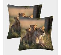 kaiyun 2 Pack Cute Lion Cubs Playing And Frolicking on The Back of Their Lioness 3D Cushion Cover Pillow Cover Sofa Outdoor Decoration Square 50x50cm