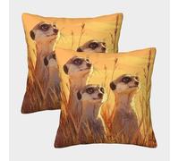 kaiyun 2 Pack Digital Printing 3D Three Meerkats Standing on The Savannah Theme Square Cushion Cover 40x40cm Suitable for Outdoor Home Bed Decoration Pattern