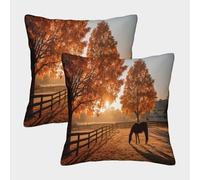 kaiyun 2 Pack Horses Grazing in The Field on An Autumn Morning Pillow Case Home Decoration Sofa Cushion Cover 50x50cm