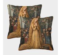 kaiyun 2 Pack Medieval Insular Manuscript Style Pillow Case Home Decoration Sofa Beautiful Lady Cushion Cover 50x50cm