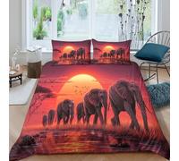 kaiyun 3D African Elephants on The Savannah Duvet Cover Sets Bedding 3Pcs Comforter Cover Soft & Cosy Printed Microfibre Quilt Covers King（220x240cm）