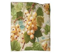 kaiyun A Wonderful Juicy Composition of Vodka And White Currant Blanket 3D Printed Throws Suitable Teens Adults Soft Plush Suitable for Holiday Bed Sofa 70x80inch(180x200cm)