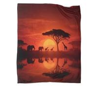 kaiyun African Savanna at Sunset Bedding Blanket Printed Fluffy Soft Comfortable Suitable for Sofa Bed 70x80inch(180x200cm)