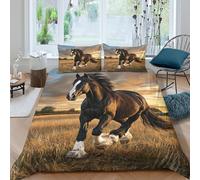 kaiyun Black Horse Running Gracefully on The Field 3D Printed Duvet Cover Microfibre for Kids Teens Adults Rural Scenery Soft Quilt Covers Easy Care Bedding Sets with Pillowcase King（220x240cm）