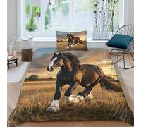 kaiyun Black Horse Running Gracefully on The Field Bedding Duvet Cover Set 3 Piece Microfiber 3D Printed Soft Breathable Rural Scenery with Pillowcase for Kids Adult Single（135x200cm）
