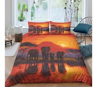 kaiyun Elephants Standing by The River at Sunset Printed Duvet Cover, 3Pcs with Pillowcase Bedding Bed Set,Microfibre Quilt Covers,3D Print, for Children Kids Boys Girls Double(200x200cm)