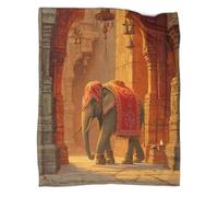kaiyun Elephants Walking through An Arched Sandstone Corridor Printed Blanket 3D Design Bedspread Soft Warm Microfiber Throws And Patchwork Quilts 70x80inch(180x200cm)