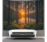 kaiyun Forest Tapestry,Sunlight Shining through The Trees Wall Art Aesthetic Home Decoration for Living Room Dorm 100cmx150cm