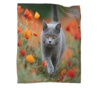 kaiyun Gray British Shorthair Cat Blanket,Soft,Comfortable And Warm,3D Pattern,Suitable for Home And Camping,70x80inch(180x200cm)
