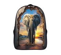 kaiyun Hole in The Wall Childrens Premium School Travel Bag with Side Hidden Pockets,Elephant Bookbag for Boys Girls,Adjustment Buckle Rucksack 16 inch