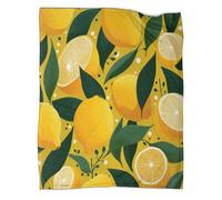 kaiyun Lemon Pattern Blanket - Versatile Warm Bedding Soft And Comfortable Travel Bed Throws And Patchwork Quilts 60x80inch(150x200cm)