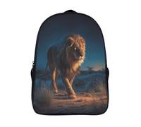 kaiyun Lion Walking in The Desert Childrens Premium School Travel Bag with Side Hidden Pockets, Bookbag for Boys Girls,Adjustment Buckle Rucksack 16 inch