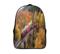 kaiyun Red Steam Train, Stone Bridge Backpacks Colorful Autumn Forest 3D Printed Daypack for Boys Girls And Middle School Students 16 inch Large Capacity Bookbags