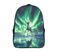 kaiyun Reindeer Childrens Premium School Travel Bag with Side Hidden Pockets,Dancing Under The Northern Lights Bookbag for Boys Girls,Adjustment Buckle Rucksack 16 inch
