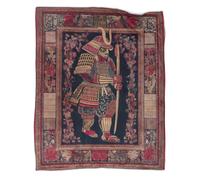 kaiyun Warrior in Full Armor Blanket 3D Printed Throws Suitable Teens Adults Soft Plush Suitable for Holiday Bed Sofa 60x80inch(150x200cm)