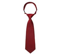 Kajeer Boys Girls Neckties Pre-tied Tie - Adjustable School Ties Satin Plain Coloured Formal Necktie for Kids Boys Girls Wedding School Uniform (Wine red, 14 Inches(Ages 5-10))