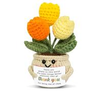 Kajfjad Crochet Tulip Bouquet, Handmade Mini Floral Gift with Inspirational Message, Christmas Appreciation Present for Women, Retirement Thank You Gift for Coworker Boss Teacher