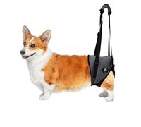 KAJILE Dog Lifting Harness,Dogs Support Harness for Hind Limb and Hip,Pet Recovery Walking Training,Lifting Strap for Elderly Injured Disabled Dogs (Grey,L)