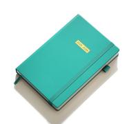 KaKa Dragon Academic Diary 2025-2026 Week to View, A5 18Months Weekly Planner, Pocket Diary for Teacher, Students, Work& Home, July 2025 - December 2026 (Cyan)
