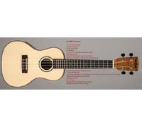 Kala Concert Uke Solid Spruce Top Flamed Spalted with Concert Case (Cyan))