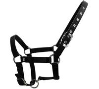 Kalastussaari Horse Halter, Comfort Double-Ply Webbing, Adjustable 1" Wide Basic Non Adjustable Halters with Metal Hardware for Training, Black Color(L)