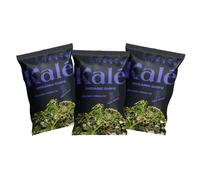 Kalé Let It Grow Organic Kale Chips, Sea Salt, (3 x 45g Packs) - Healthy Snacks for Adults, Vegan & Gluten-Free Crisps, High Protein Keto Crisps, Vitamins A C K, Iron, Air-Dried at 42°C (3)