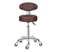 Kaleurrier Rolling Stool Chair with Smooth-rolling Dual-wheel casters,Comfortable Cushioned Backrest, Swivel Seat, Heavy Duty Hydraulic Height Adjustable,Sturdy and Durable