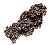 KALIFANO Authentic Prehistoric Dinosaur Coprolite Feces Trace Fossil - Madagascar
