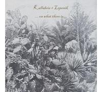 Kallabris + Lepenik - On What There Is [Vinyl LP] [VINYL]