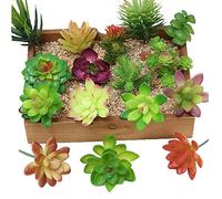 Kalolary 16 Pcs Artificial Succulent Flowers Plants Mini Unpotted Decor Stems Mixed Fake Succulents Plants Bulk Assorted Picks Birthday Home Decor Indoor Wall Garden Hotel Desk DIY Decorations