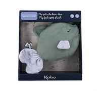 Kaloo - Petit Calme - Soothing Baby Plush - Fish 9.8"/25 cm - Hot or Cold Hot Water Bottle - Very Soft Material - Removable Cover - New Born - K970703