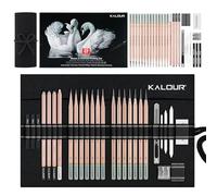 KALOUR 29 Pro Sketching Drawing Pencils Set with Roll-Up Nylon Case - 14 Graphite Pencils (14B-5H), Charcoal Pencils, Erasers, Sharpener & Stumps - Complete Art Kit for Artists & Beginners