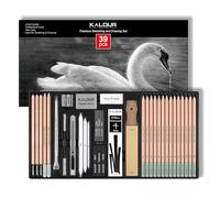 KALOUR PDAS 39-Piece Pencils Set, Professional Drawing Pencils (5H-14B), Black and White Charcoal Pencils for Drawing, Eraser Brush Pen, Charcoal Sticks, Pen Set for Artists and Beginners