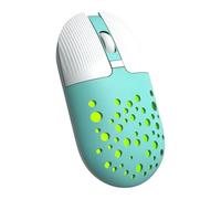 Kalttoy RGB Wireless Dual Mode Mouse Profession Gaming Mouse 1200 DPI Computer Mouse