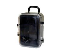 Kalttoy Roller Travel Suitcase Candy Box Creative Wedding Small Luggage Trolley Case