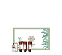 Kama Ayurveda Bringaras Scalp & Hair Invigorating Ritual Discovery Haircare Gift Set
