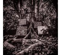 Kamasi Washington - Harmony Of Difference [VINYL]