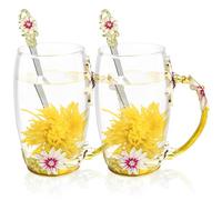 KAMEUN 2 Pcs Flower Tea Cup Set, Enamel Glass Coffee Mugs, Coffee Glass Cups with Spoon, Flower Mug for Birthday Christmas Gifts Wife Mum Friends Teacher Valentines Mothers Day