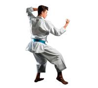 Kamikaze Karategi NEW LIFE EXCELLENCE TOKYO Special Edition