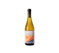 Kamil Barczentewicz Pinot Blanc Béton 2024