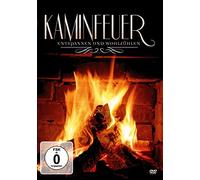 Kaminfeuer-Entspannen und Wohlfühlen