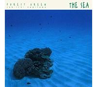 Kamiyama, Junichi - Forest Green V.5