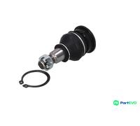 KAMOKA FRONT BALL JOINT 9040085 FOR HONDA