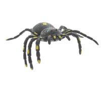 Kandytoys 6.5 inch Tar Spider With Beans - Assorted